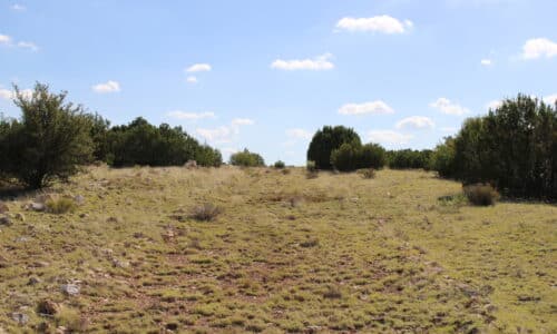 Off Grid Homesite Near Williams AZ Backing State Land