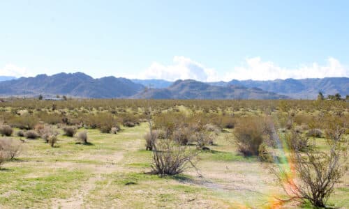 Sold: Desert Property With City Water Access