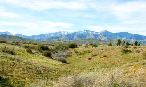 Level Homesite in Phelan With Flexible Use