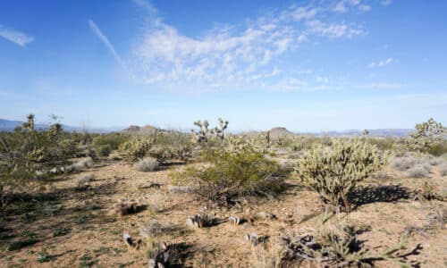Off Grid Freedom with BLM Access in Mohave County
